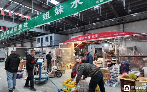 打造“超级菜篮子” 禹城智慧冷链物流产业园焕新区域农产品流通格局